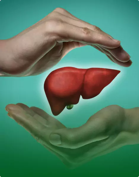 Digestion, IBS and Liver Care